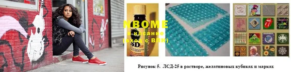 гидропоника Каменногорск