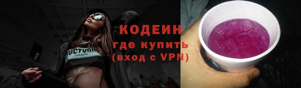 spice Каменка