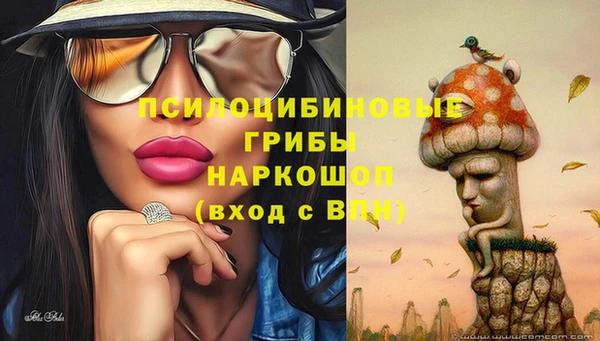 spice Каменка
