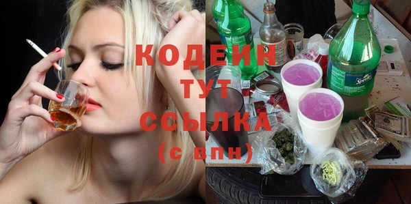 spice Каменка