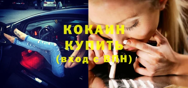 spice Каменка