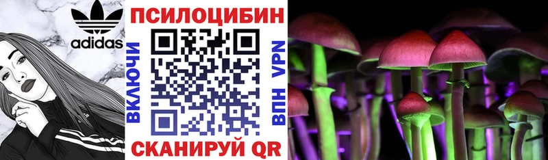 Псилоцибиновые грибы ЛСД  Купить  Звенигород 
